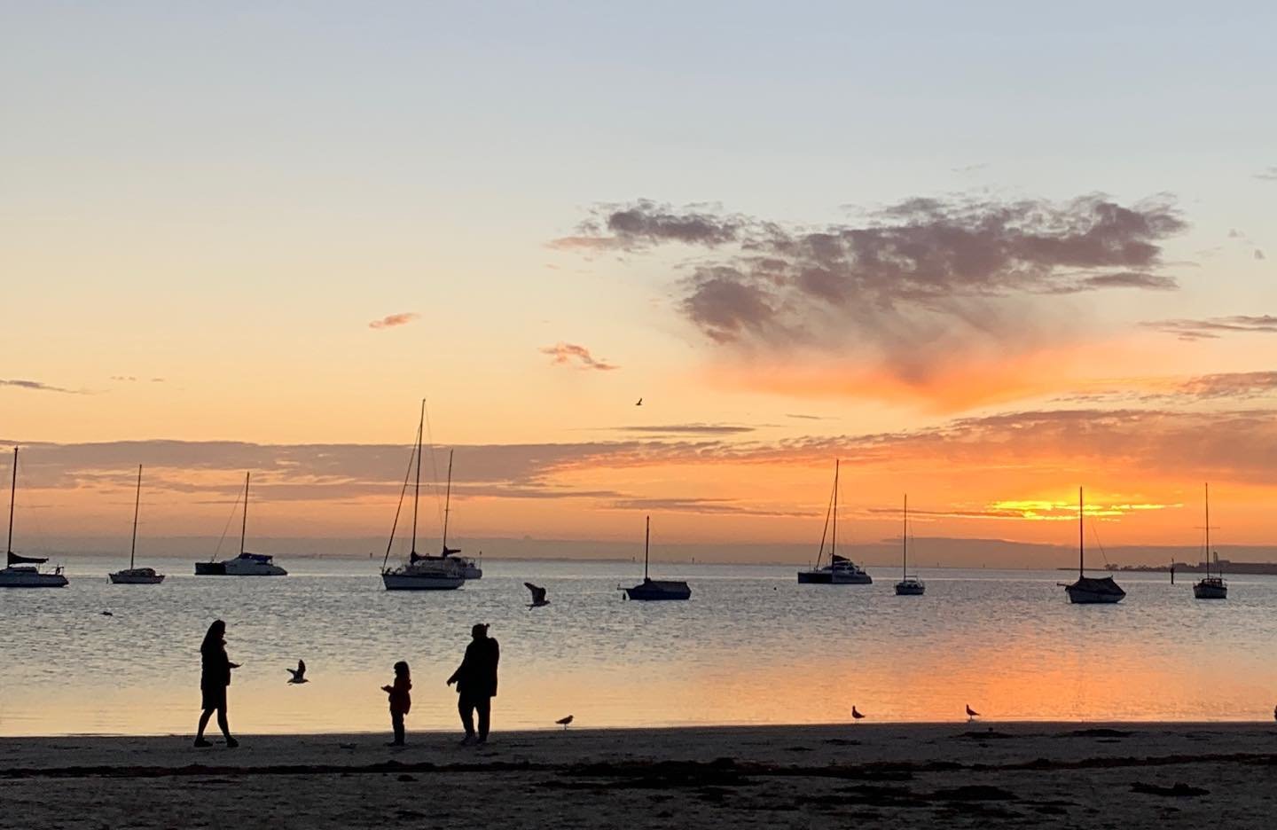 geelong 02