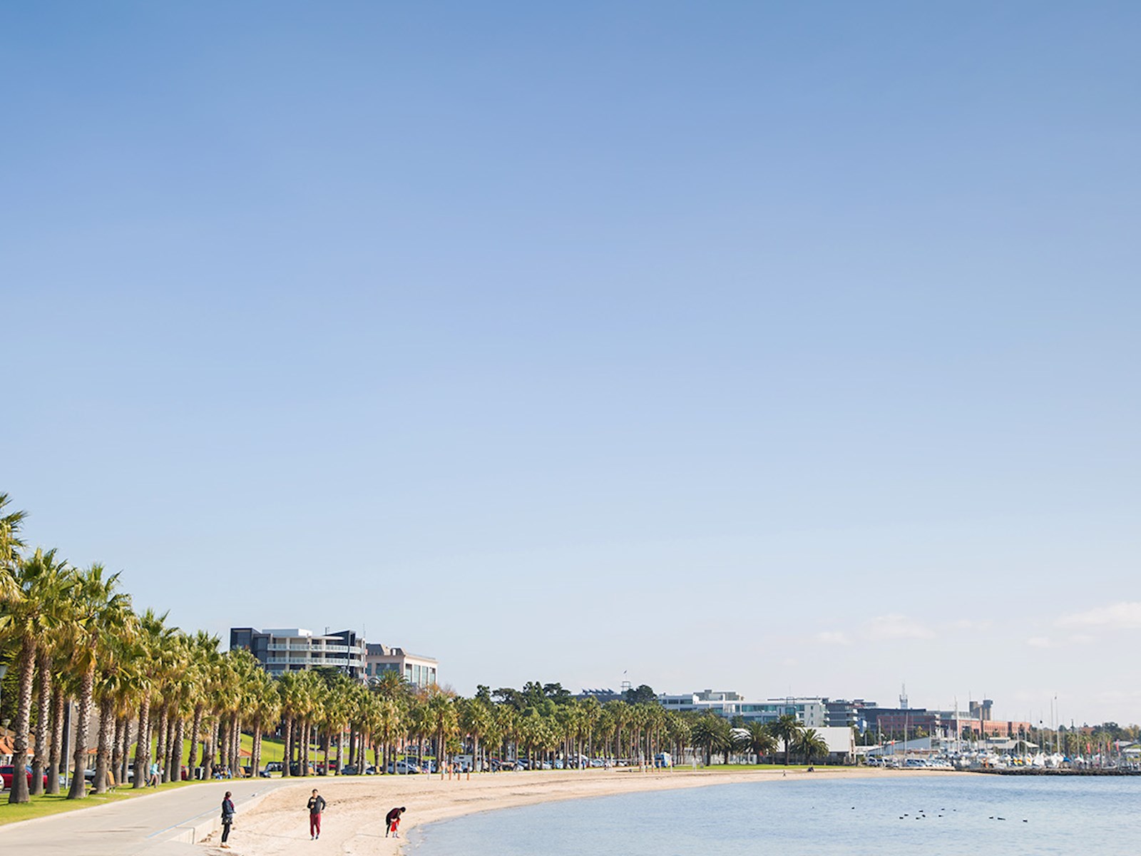 geelong 06